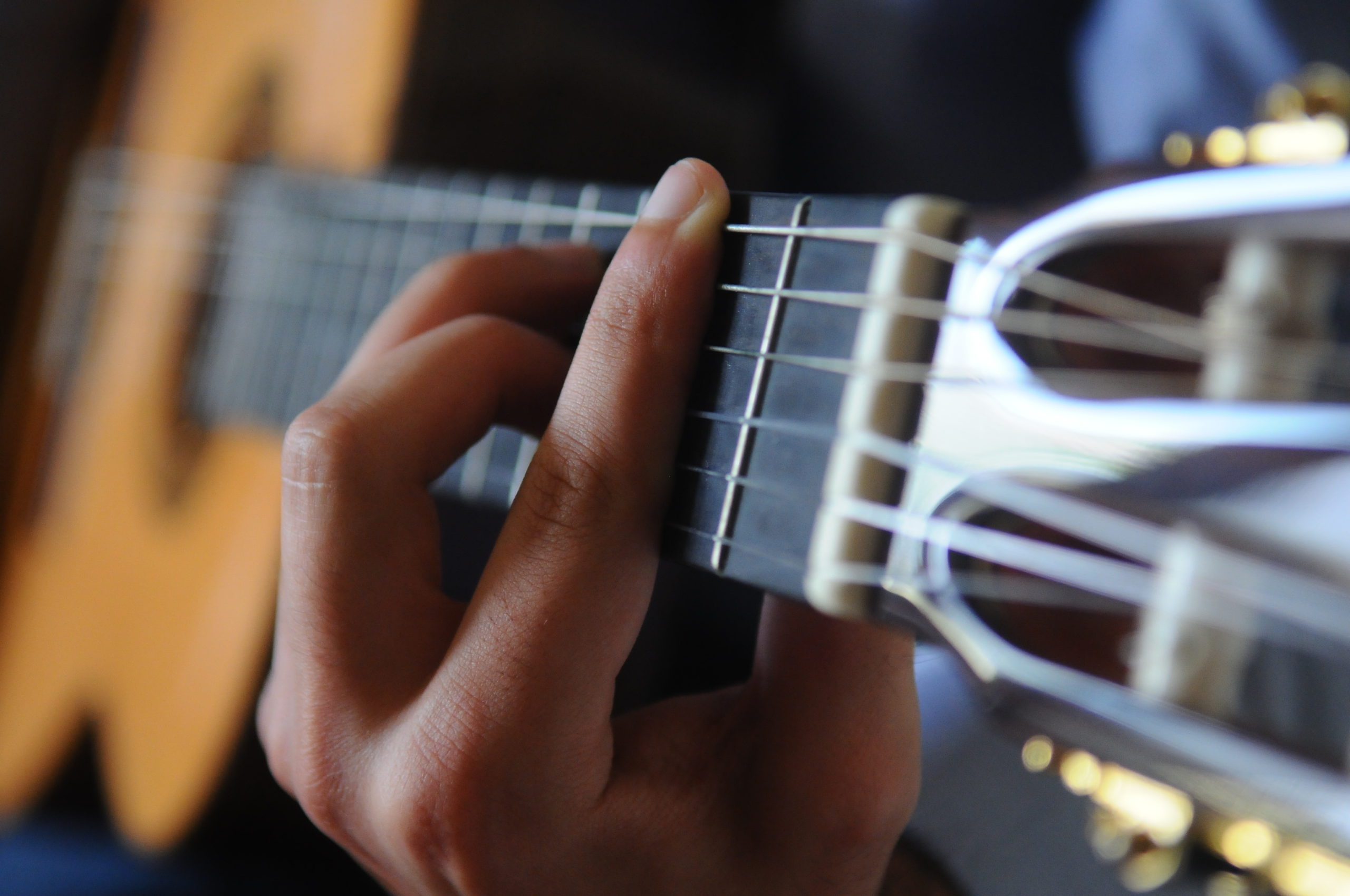 Maurizio Salvi con la chitarra